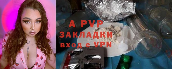 крисы Алексин