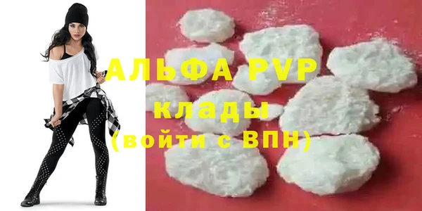 крисы Алексин