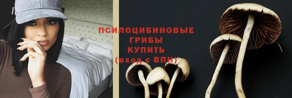 кокс Алзамай