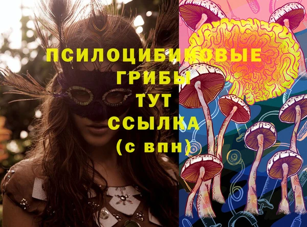 гашишное масло Алексеевка